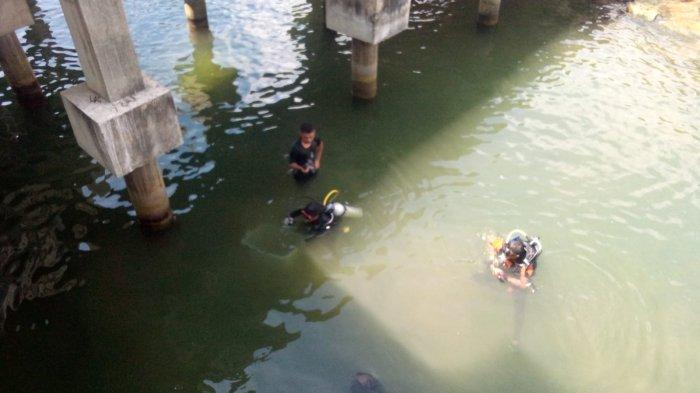 Satgas SAR dan TDC Tanam Bibit Terumbu Karang di Bawah Mesjid Apung Tapaktuan, Ini Jenisnya