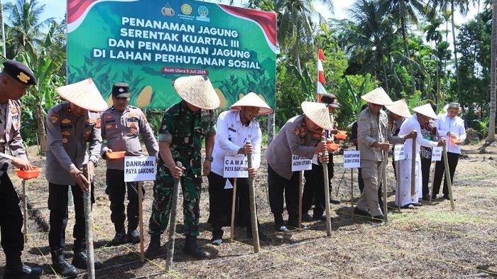 Dukung Ketahanan Pangan Nasional, Polres Aceh Utara Tanam Jagung Serentak di Paya Bakong