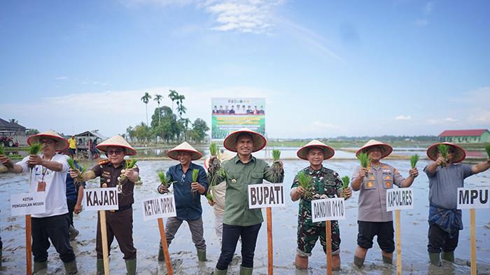 Pemerintah Abdya Jadwalkan Tanam Padi Serentak 2025, Ini Luas Bahan dan Pasaran Harga Gabah