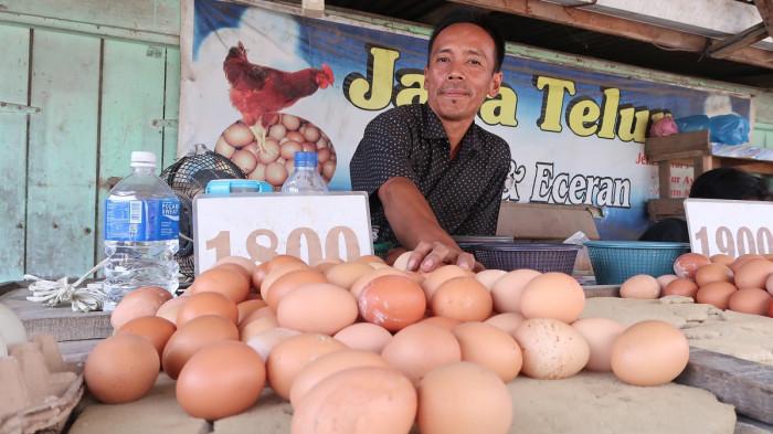 Harga Telur di Kualasimpang Naik Tajam, Tembus Rp 60 Ribu Per Papan