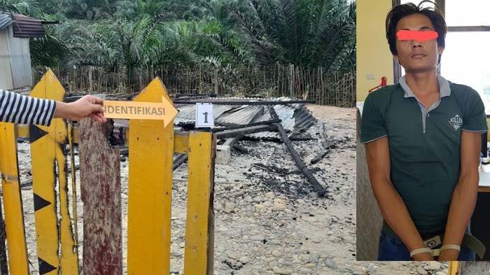 Gara-gara Terpergok Curi Sawit, Mahasiswa Bakar Rumah Sekuriti dan Kantor PTPN I di Aceh Tamiang