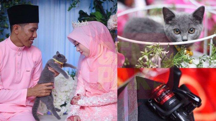 Viral Pria Beri Kucing Sebagai Hantaran Tunangan, Wanitanya Berikan Alat Pancing Sebagai Balasan