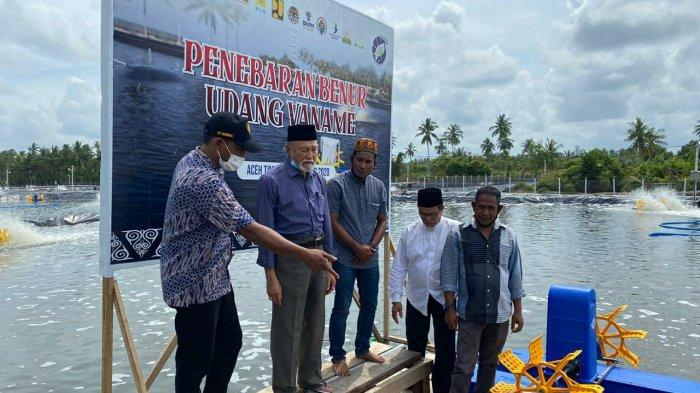 Tinjau Tambak Udang di Idi Aceh Timur, Begini Penuturan Wali Nanggroe