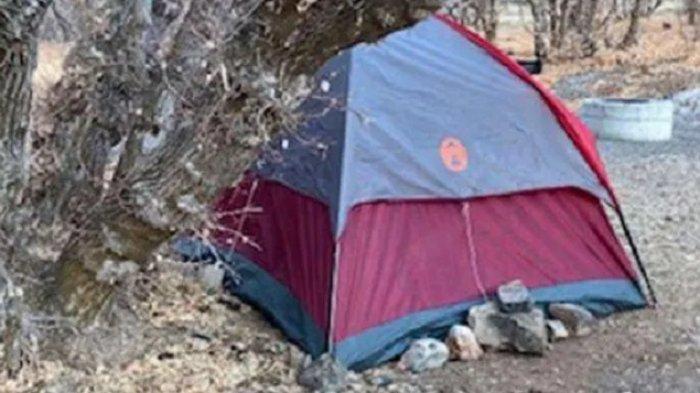 Seorang Wanita Hilang di Hutan Utan, Bertahan HIdup Hanya dengan Rumput dan Lumut