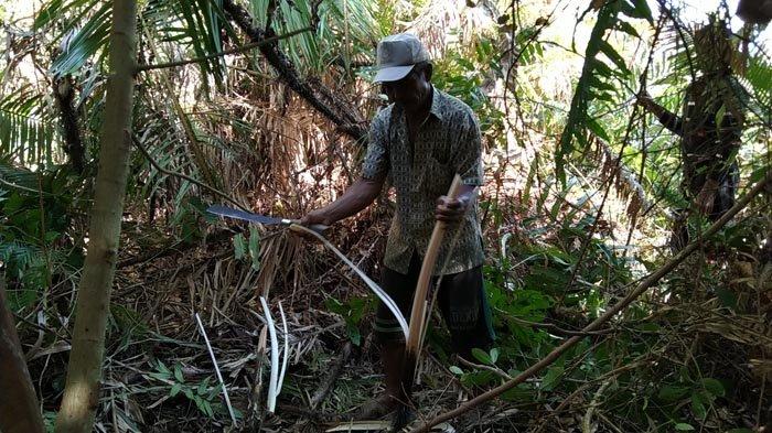 Begini Cara Warga Aceh Singkil Berburu Pangkat