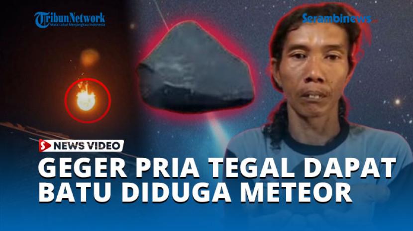 Tribun