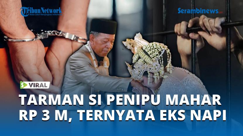 Tribun