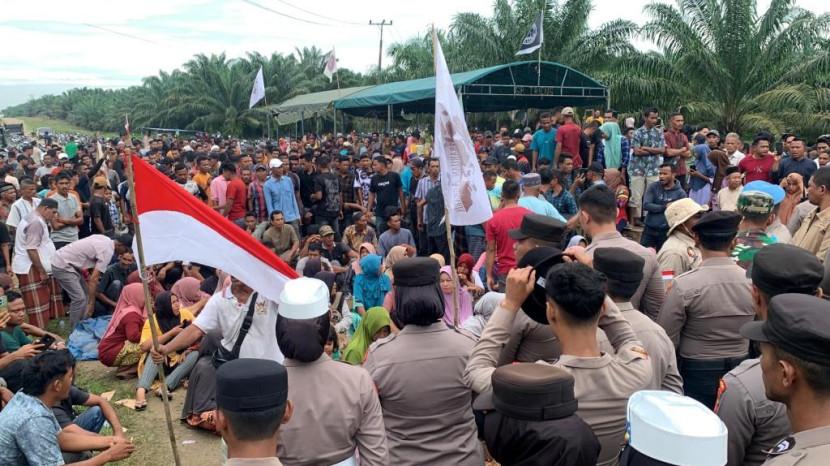 Tribun