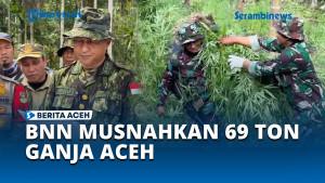 BNN-Pusat-Musnahkan-97000-Batang-Ganja-di-Teupin-Reusep-Aceh-Utara.jpg