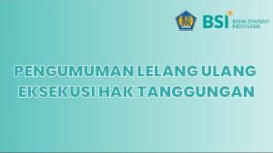 BSI0610251.jpg