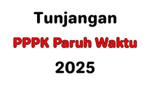 Besaran-Tunjangan-yang-Akan-Didapat-PPPK-Paruh-Waktu-2025.jpg