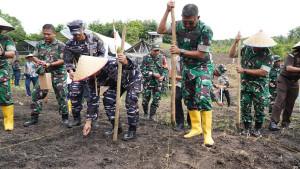 Danrem-Lilawangsa-Tanam-Jagung-di-Lahan-Binaan-Kodim-Aceh-Utara.jpg