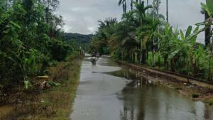Genangan-Air-akibat-intensitas-hujan-tinggi-di-kecamatan-Panga.jpg