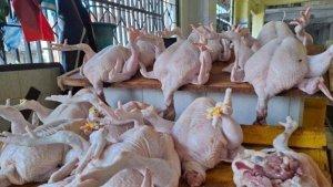 Harga-Ayam-dan-Daging-di-Sabang-Masih-Stabil-0805.jpg