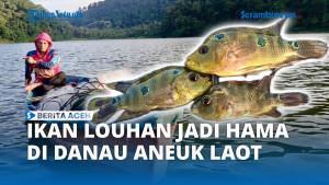 Ikan-Louhan-27738.jpg