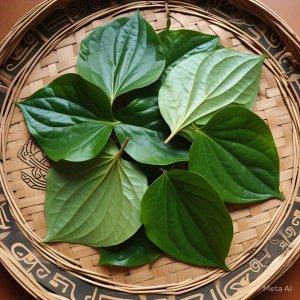 Ilustrasi-gambar-Daun-Sirih.jpg