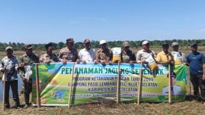 Jagung-8iohoi.jpg