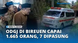 Jumlah-ODGJ-di-Bireuen-Capai-1665-Orang.jpg