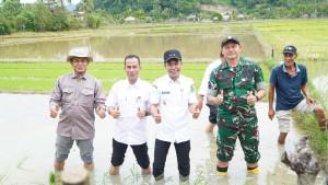 Kadis-Pertanian-Dailami-mendampingi-Wabup-Aceh-Jaya-saat-melakukan-penanaman-serentak-padi.jpg