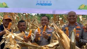 Kapolres-Abdya-panen-jagung_serambi_.jpg