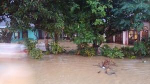 Kecamatan-Labuhanhaji-dan-Labuhanhaji-Barat-terendam-banjir.jpg