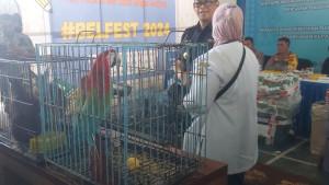Kepala-KPPBC-TMP-C-Langsa-memperlihatkan-Burung-Macau-yang-disita.jpg