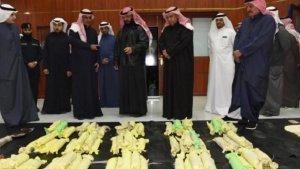 Kuwait-Sita-Narkoba-Dalam-Jumlah-Besar.jpg