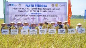 PIM01.jpg