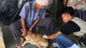 Petugas-Puskeswan-Dinas-Pertanian-Deliserdang-vaksinasi-anjing-penyebar-rabies.jpg