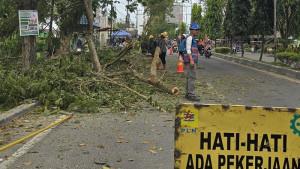 Petugas-sedang-melakukan-pembersihan-dahan-pohon-yang-mengganggu-jaringan-listrik.jpg