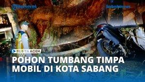 Pohon-tumbang-282811.jpg