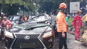 Pohon-tumbang-menimpa-sebuah-mobil-di-Jalan-Metro-Pondok-Indah-Raya.jpg