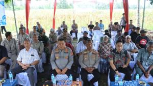 Polres-Aceh-Utara-Panen-Jagung-di-Lahan-2-Hektare_Dorong-Ketahanan-Pangan-Nasional.jpg