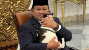 Presiden-Prabowo-Subianto-menggendong-kucing-kesayangannya-Bobby-Kertanegara.jpg