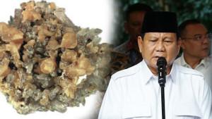 Presiden-RI-Prabowo-Subianto-menyebut-monasit-adalah-harta-karun.jpg
