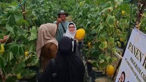 Rosmalina-menyusun-program-golden-melon.jpg
