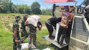 TNI-bantu-petani-panen-padi_aceh-timur.jpg