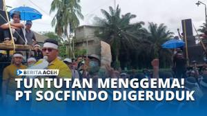 TUNTUTAN-MENGGEMA-PT-SOCFINDO-DIGERUDUK.jpg