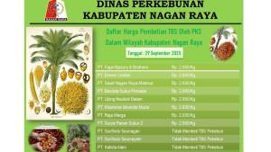 Update-harga-TBS-sawit-ditampung-PMKS-di-Nagan-Raya_Selasa-30-September-2025.jpg
