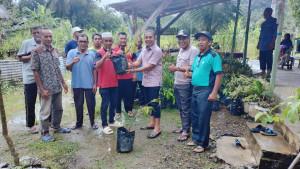 anggota-DPRA-bagikan-bibit-Musang-King.jpg