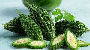 buah-sayur-pare-ilustrasi.jpg