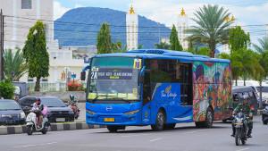 bus-trans-1510.jpg