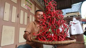 cabai-merah-atamiang-1309.jpg