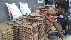 harga-telur-ayam-1809.jpg