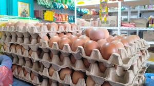 harga-telur-naik-8-ribu.jpg