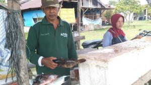 ikan-kerapu-di-aceh-singkil_serambi_.jpg