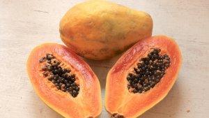 ilustrasi-buah-pepaya.jpg