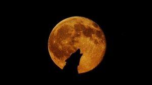 ilustrasi-gerhana-bulan-full-wolf-moon.jpg