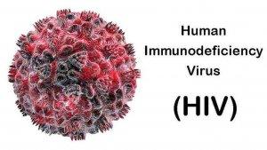 ilustrasi-virus-hivaids.jpg