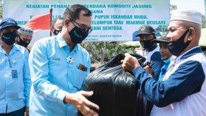 jagung-8uhbn.jpg